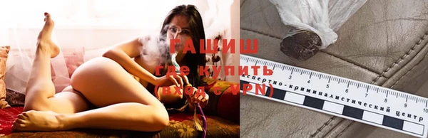 индика Касимов