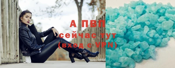 индика Касимов
