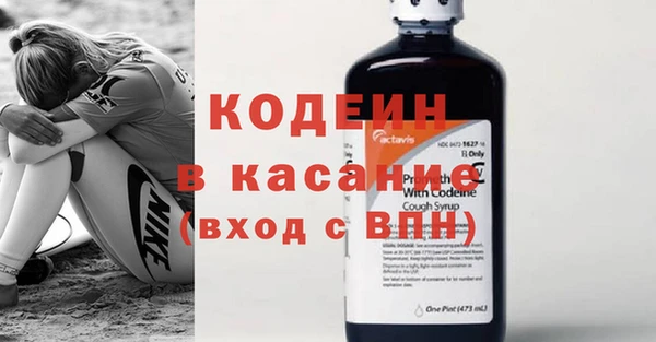 индика Касимов
