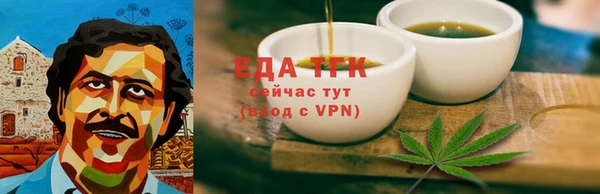 индика Касимов