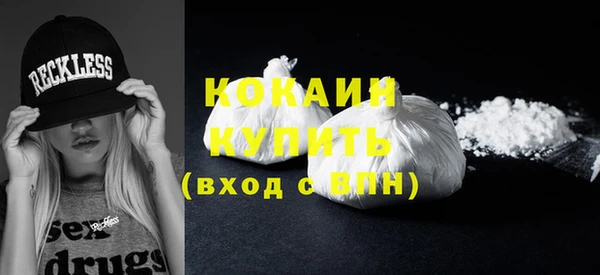 индика Касимов