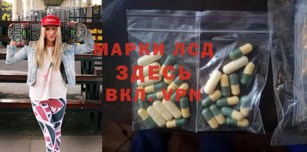 индика Касимов