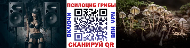 Галлюциногенные грибы Magic Shrooms  Купить закладки  Горняк 