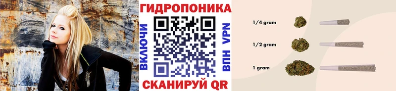 Бошки марихуана White Widow  Купить закладки  Горняк 
